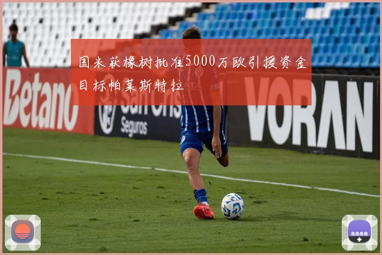 国米获橡树批准5000万欧引援资金目标帕莱斯特拉